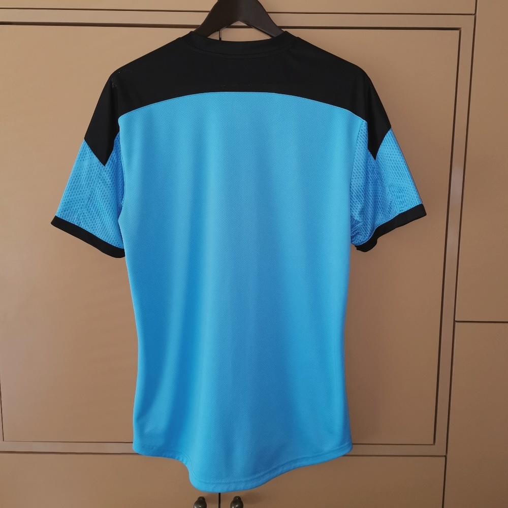 PUMA ftblNXT Men's Graphic Soccer Jersey - (L) - Picture 10 of 11